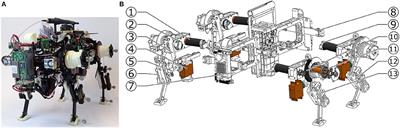 Oncilla Robot: A Versatile Open-Source Quadruped Research Robot With Compliant Pantograph Legs